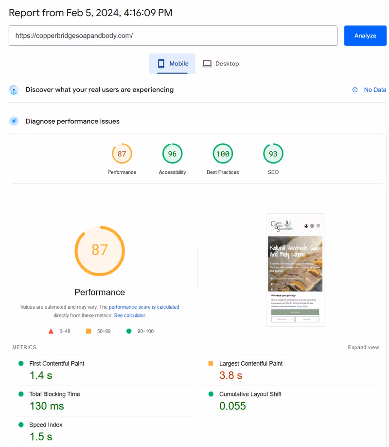 page speed insights for copper bridge soap and body mobile report